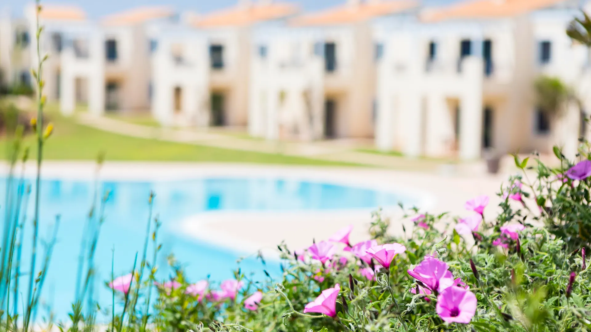 *** Appart hôtel Apartamentos Primasud Punta Prima  Espagne