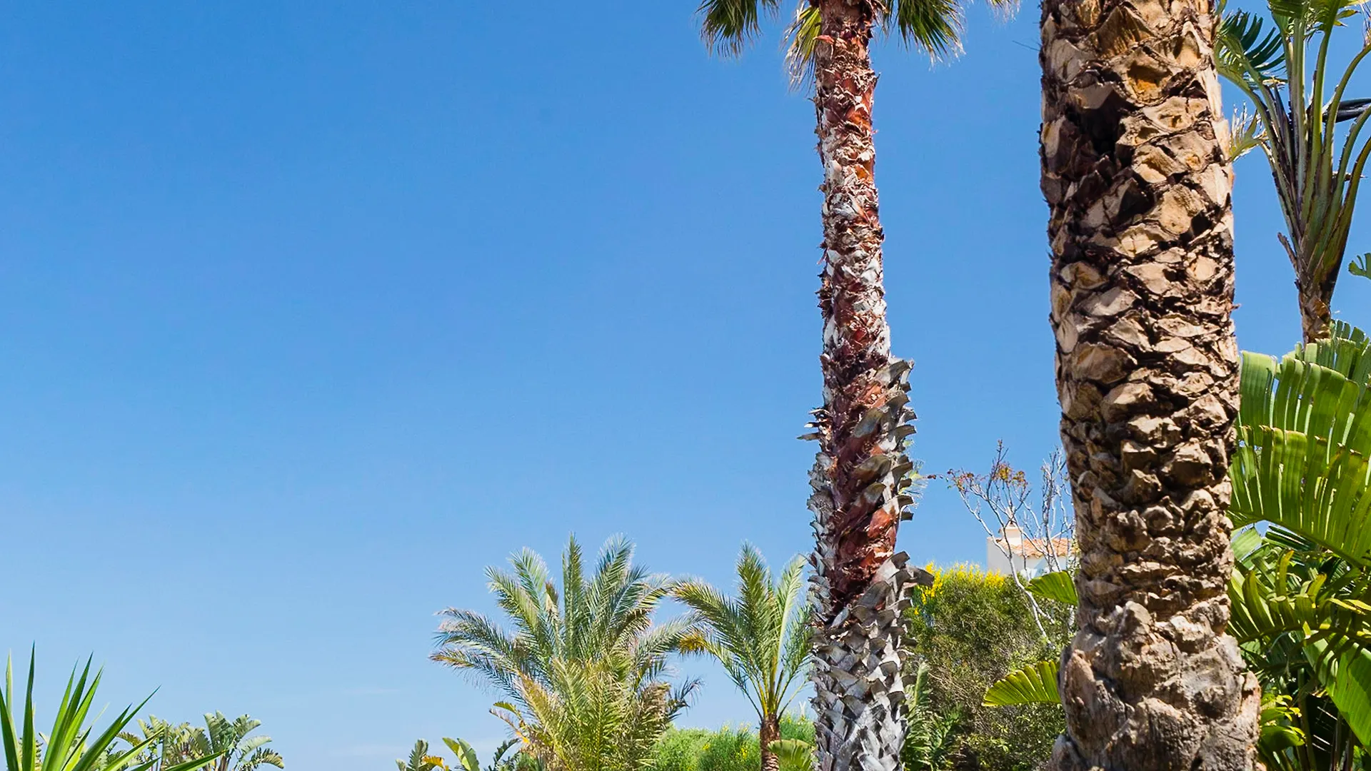 Apartamentos Primasud Punta Prima  Punta Prima (Menorca)